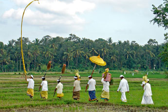 Bali temple ceremony at the country