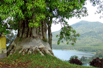 View on the crater lake Buyan in Central Bali