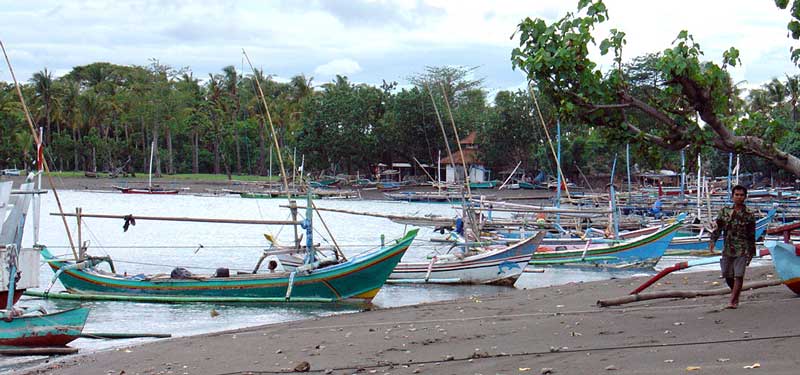 Bali North cost at Pemuteran