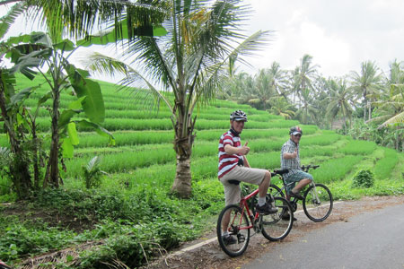 Bike Tour in Bali