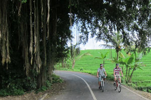 by bike through Bali