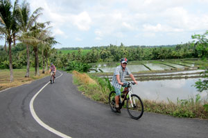 by bike along Bali's rice terraces