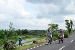 enjoy Bali on a bike