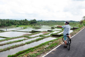 beautiful views of Bali's rice terraces