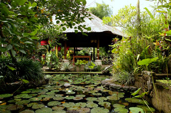 Villa Kompiang Bali - Garden