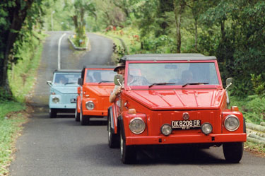 Bali VW Tour "The Thing" VW Safari Car